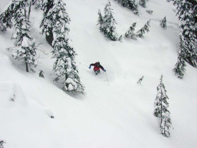 I'd call this lift-served backcountry