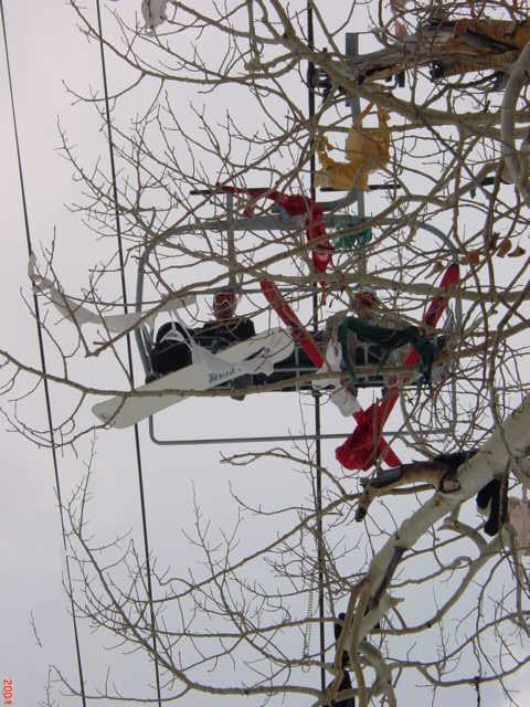 50 feet of frilly splendor